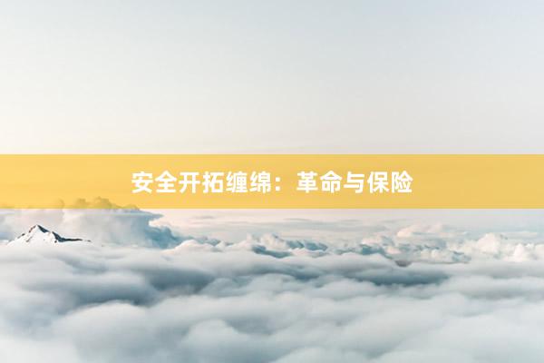 安全开拓缠绵：革命与保险